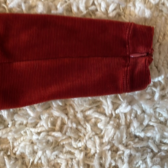 NWOT A.L.C. Marcel Long Sleeve Ruched Velvet Minidress in Sumac Sz 0 - Picture 12 of 12